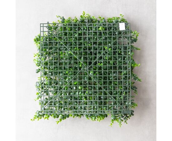 Фитомодуль искусственный "Самшит", 50*50 cм, изображение 5 ᐒ купить на  ❤ Like7km.com.ua