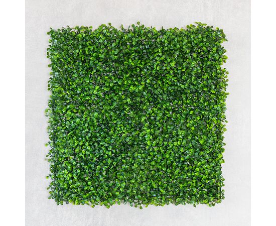 Фитомодуль искусственный "Самшит", 50*50 cм, изображение 2 ᐒ купить на  ❤ Like7km.com.ua