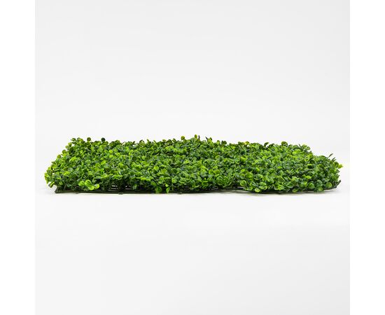 Фитомодуль искусственный "Самшит", 50*50 cм, изображение 3 ᐒ купить на  ❤ Like7km.com.ua