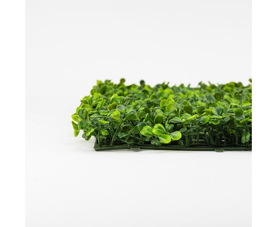 Фитомодуль искусственный "Самшит", 50*50 cм, изображение 4 ᐒ купить на  ❤ Like7km.com.ua