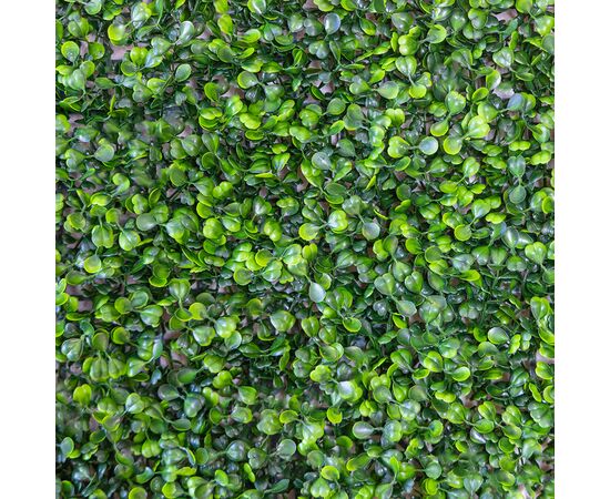 Фитомодуль искусственный "Самшит", 50*50 cм, изображение 5 ᐒ купить на  ❤ Like7km.com.ua