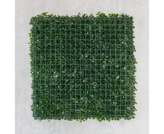 Фитомодуль искусственный "Самшит", 50*50 cм, изображение 6 ᐒ купить на  ❤ Like7km.com.ua