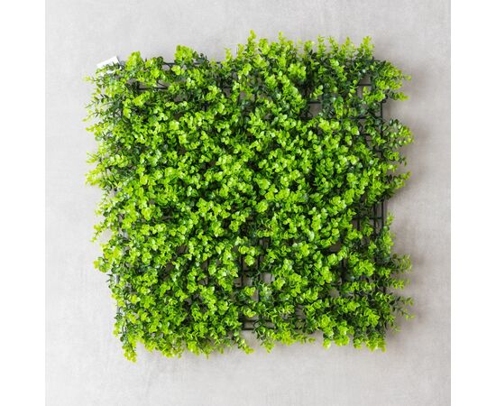 Фитомодуль искусственный "Самшит", 50*50 cм, изображение 2 ᐒ купить на  ❤ Like7km.com.ua