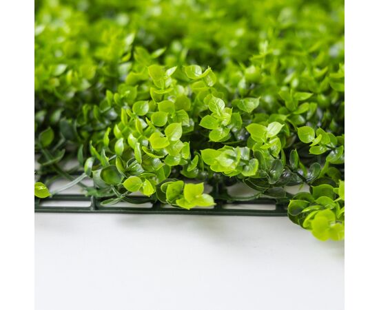 Фитомодуль искусственный "Самшит", 50*50 cм, изображение 4 ᐒ купить на  ❤ Like7km.com.ua