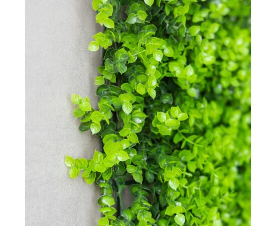 Фитомодуль искусственный "Самшит", 50*50 cм, изображение 5 ᐒ купить на  ❤ Like7km.com.ua