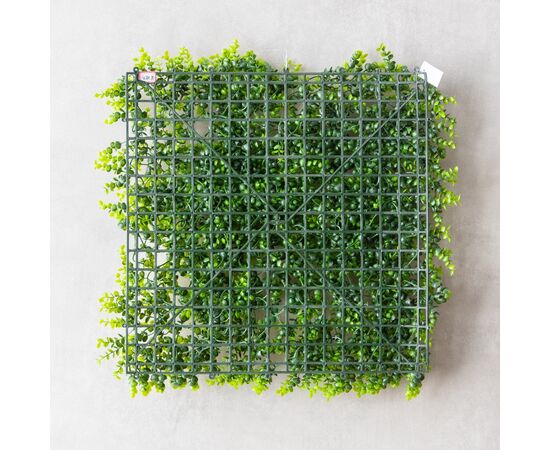 Фитомодуль искусственный "Самшит", 50*50 cм, изображение 6 ᐒ купить на  ❤ Like7km.com.ua