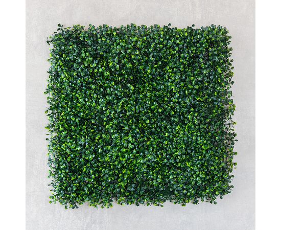 Фитомодуль искусственный "Самшит", 50*50 cм, изображение 2 ᐒ купить на  ❤ Like7km.com.ua