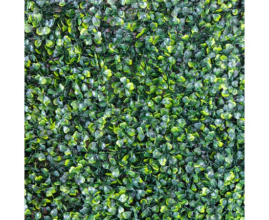 Фитомодуль искусственный "Самшит", 50*50 cм, изображение 5 ᐒ купить на  ❤ Like7km.com.ua