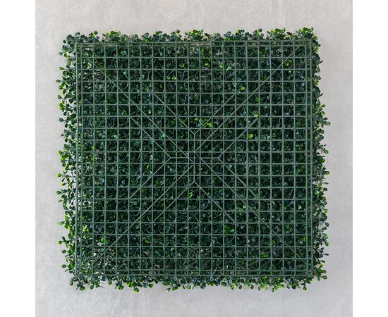 Фитомодуль искусственный "Самшит", 50*50 cм, изображение 6 ᐒ купить на  ❤ Like7km.com.ua