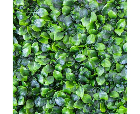 Фитомодуль искусственный "Гортензия", 50*50 cм, изображение 5 ᐒ купить на  ❤ Like7km.com.ua