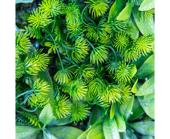 Фитомодуль искусственный "Травяной микс", 50*50 cм, изображение 5 ᐒ купить на  ❤ Like7km.com.ua