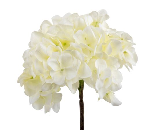 Гортензия "Анисия", кремовая, 42 см, изображение 2 ᐒ купить на  ❤ Like7km.com.ua