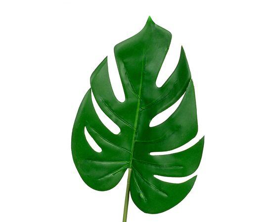 Лист монстеры 55 см, изображение 2 ᐒ купить на  ❤ Like7km.com.ua