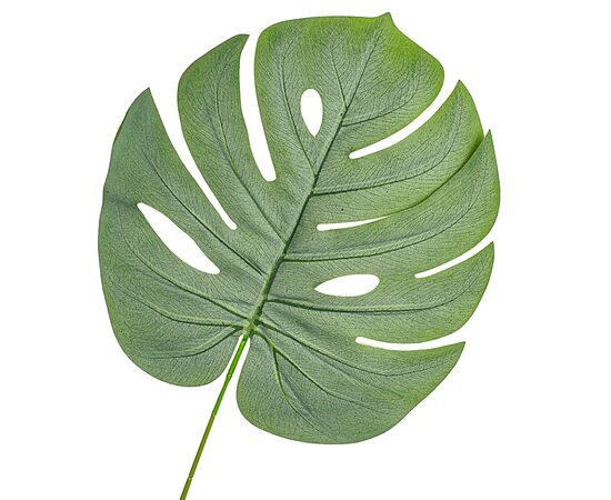 Лист монстеры тростниково-зеленый искусственный, изображение 2 ᐒ купить на  ❤ Like7km.com.ua