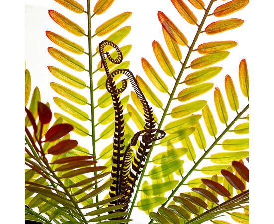 Ветвь папоротника красно-желтая искусственная, изображение 2 ᐒ купить на  ❤ Like7km.com.ua