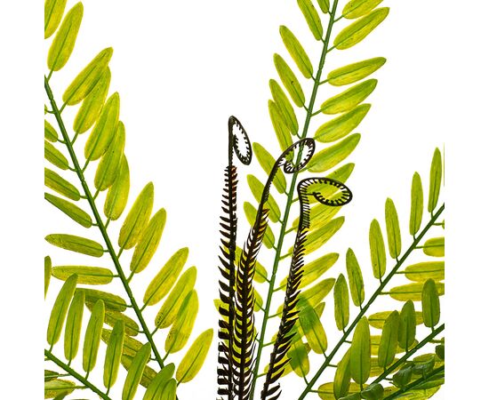 Ветвь папоротника зелёно-желтая искусственная, изображение 2 ᐒ купить на  ❤ Like7km.com.ua