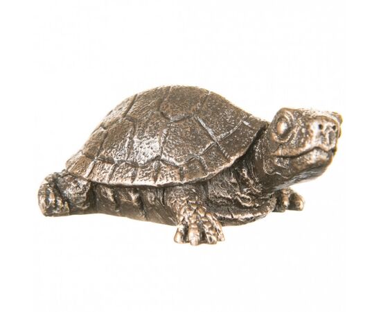 Статуэтка "Черепаха" (77141A1), изображение 3 ᐒ купить на  ❤ Like7km.com.ua