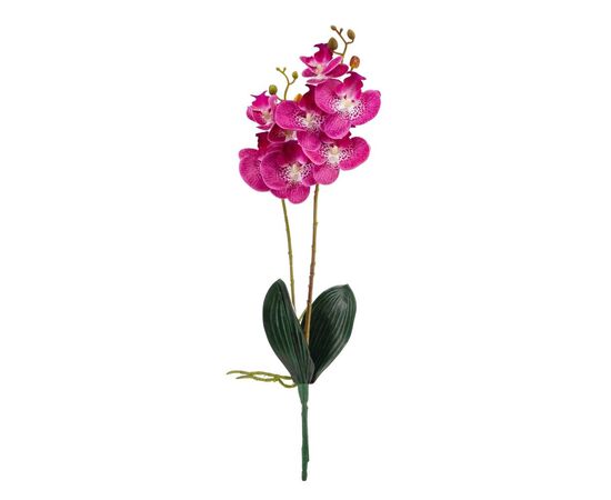 Орхидея 56 см. * Рандомный выбор дизайна, изображение 7 ᐒ купить на  ❤ Like7km.com.ua