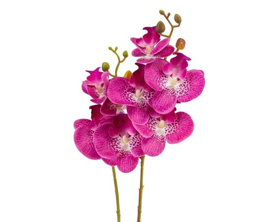 Орхидея 56 см. * Рандомный выбор дизайна, изображение 8 ᐒ купить на  ❤ Like7km.com.ua