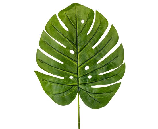 Лист "Монстера", изображение 2 ᐒ купить на  ❤ Like7km.com.ua