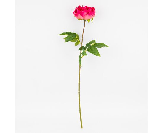 Искусственный пион с эффектом живого прикосновения, кремово-розовый, 60 см, изображение 4 ᐒ купить на  ❤ Like7km.com.ua