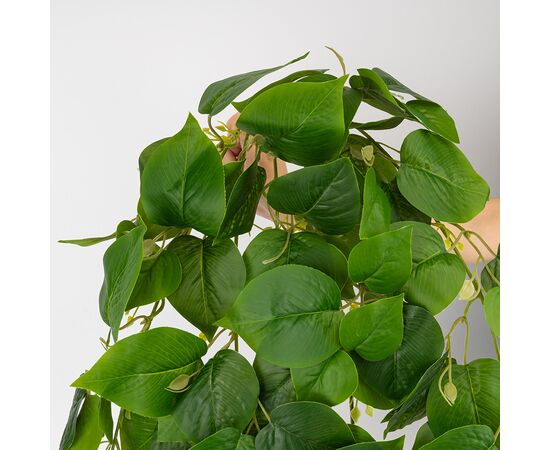 Искусственная свисающая ветка "Лиана", зеленая, 110 см, изображение 4 ᐒ купить на  ❤ Like7km.com.ua