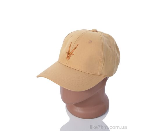Кепка Весна/Осень EX007-9 beige (5 шт. р.One size) "RuBi" оптом со склада 7км ᐒ купить на  ❤ Like7km.com.ua
